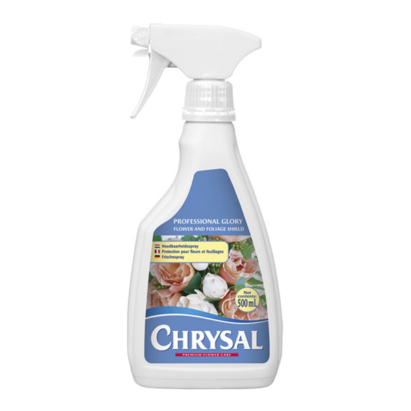 CHRYSAL CLEAR PROFESIONAL GLORY