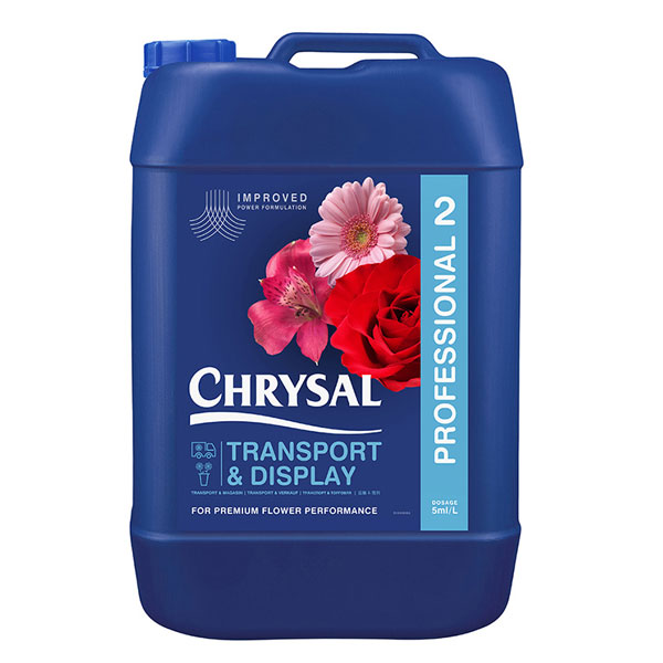 CHRYSAL CLEAR PROFESIONAL 2