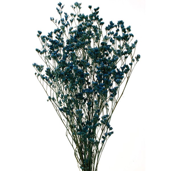 LIMONIUM