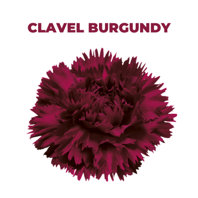 CLAVEL