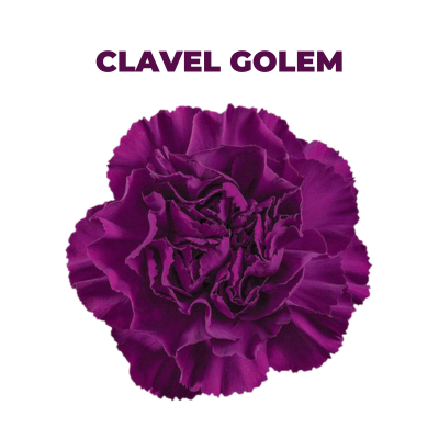CLAVEL GOLEM
