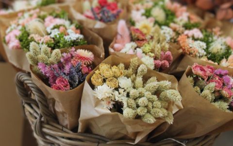 Flores secas y preservadas: ¿Cuál es la mejor opción para ti?
