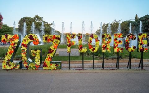 Gradyflor y ZGZ Florece