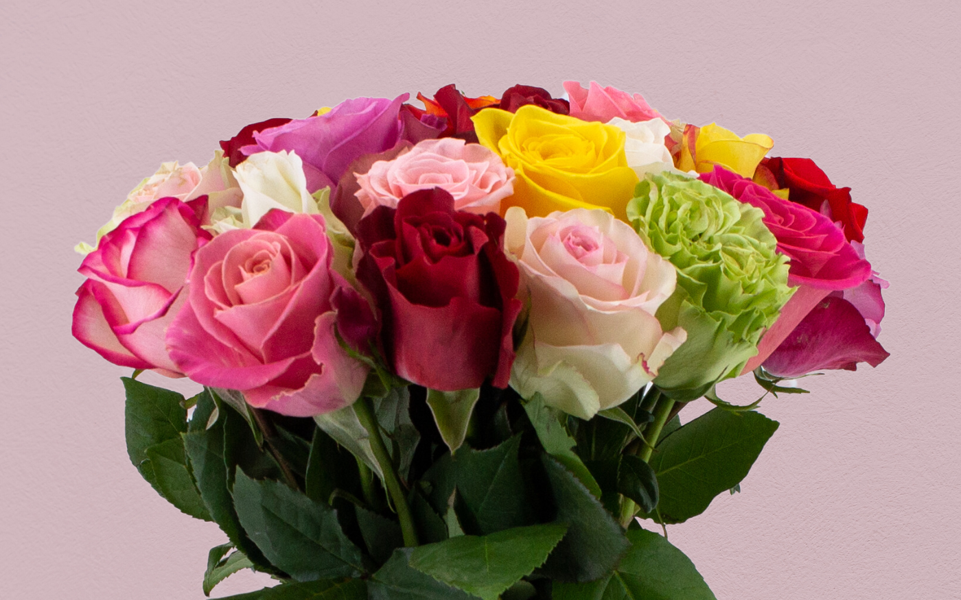 Pack de rosas Rainbow: un arcoíris de oportunidades para floristerías
