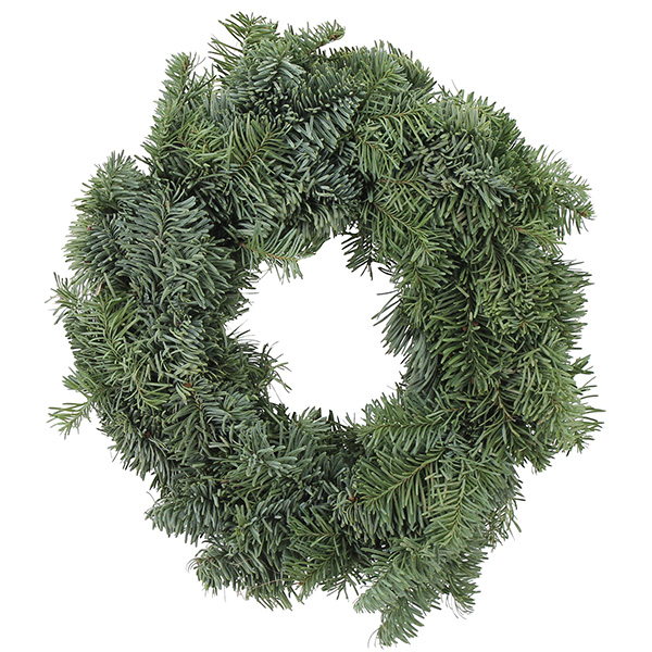 CORONA NOBILIS 1/2 CARA 40