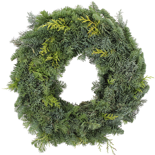 CORONA NOBILIS 1/2 CARA 30